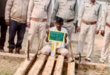 Screenshot 2024 12 20 15 40 20 997 com.whatsapp