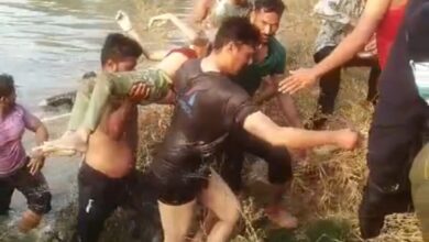 Screenshot 2024 12 20 19 22 48 316 com.whatsapp