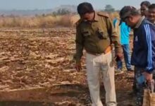 गोरखपुर पहाड़ी में बाघ की मौजूदगी, मवेशी का किया शिकार : छानबीन कर रहा वन अमला, मौके पर लगाए 4 कैमरे 11 Screenshot 2024 12 22 18 20 24 278 com.whatsapp