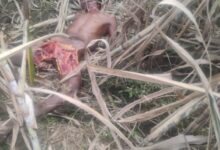 Screenshot 2024 12 22 20 38 44 668 com.whatsapp