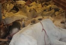 Screenshot 2024 12 25 19 35 39 605 com.whatsapp