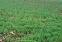 Screenshot 2024 12 26 08 32 21 711 com.whatsapp