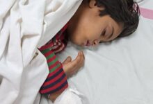 Screenshot 2024 12 26 21 10 42 494 com.whatsapp