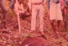 Screenshot 2024 12 28 10 35 09 877 com.whatsapp