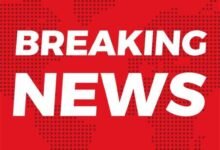 Screenshot 2024 12 30 12 45 06 507 com.miui .gallery 1