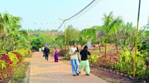 Screenshot 20241231 215241 WhatsApp2