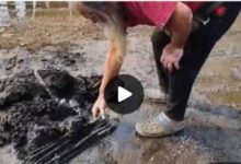 Screenshot 2024 1222 163250