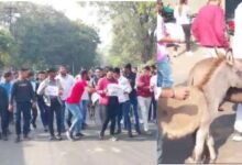 इजरायल की बमबारी से 2024 12 04T032827.681