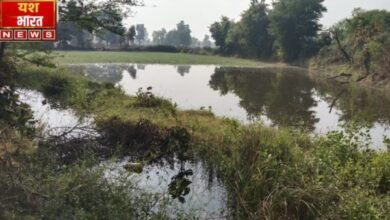 इजरायल की बमबारी से 2024 12 05T235423.518