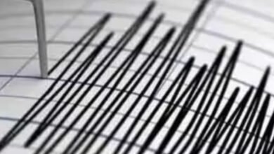 तेलंगाना में भूकंप के तेज झटके, महाराष्ट्र-छत्तीसगढ़ में भी कांपी धरती, घरों से बाहर भागे लोग 6 एयर इंडिया का विमान हादसे का शिकार होते होते बचा 15