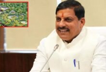 Add a heading 2025 01 08T033600.297