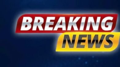 तहसीलदार ने जारी किया तहसील में पदस्थ 68 पटवारियों के दो दिन के वेतन कटौती का आदेश 7 Add a heading 2025 01 09T063506.875