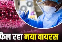 Add a heading 2025 01 10T033643.132