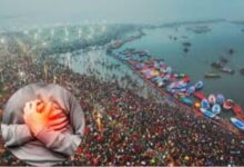 Add a heading 2025 01 13T051419.620