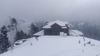 Add a heading 2025 01 14T061528.954