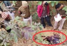 Add a heading 2025 01 14T080711.830