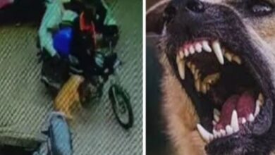 Add a heading 2025 01 15T020007.452