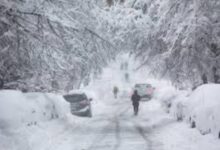 Add a heading 2025 01 20T034118.363