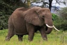 Add a heading 2025 01 26T013243.249