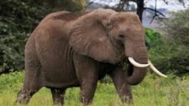 Add a heading 2025 01 26T013243.249