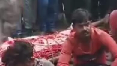 Screenshot 2025 01 03 12 03 11 294 com.miui .gallery