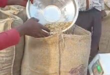 Screenshot 2025 01 03 15 29 54 703 com.miui .gallery