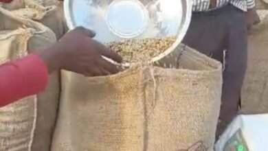 सरकारी खरीद केंद्र पर बारदाने की कमी से किसान परेशान, लगाना पड़ रहे हैं चक्कर 6 Screenshot 2025 01 03 15 29 54 703 com.miui .gallery