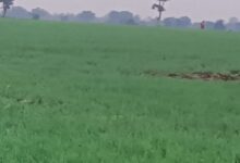 Screenshot 2025 01 10 10 48 36 122 com.whatsapp