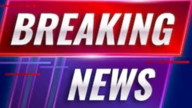 Screenshot 2025 01 10 17 25 50 794 com.google.android.apps .photos