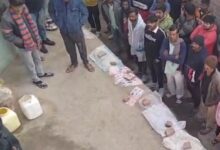 Screenshot 2025 01 11 14 37 43 450 com.miui .gallery