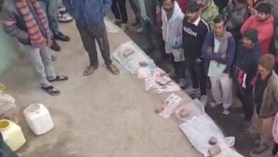 Screenshot 2025 01 11 14 37 43 450 com.miui .gallery