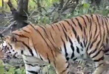 Screenshot 2025 01 13 12 24 43 683 com.whatsapp