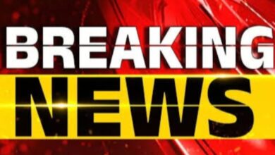 Screenshot 2025 01 14 18 43 16 341 com.miui .gallery