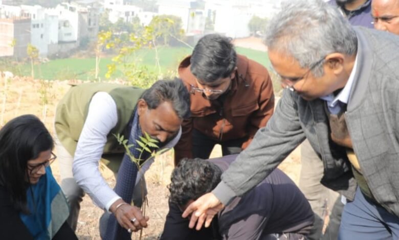 प्रभारी मंत्री सिलावट ने “एक पेड़ माँ के नाम” अभियान के तहत हरि पर्वत पर किया वृक्षारोपण : विकसित किया जाएगा सिटी फोरेस्ट 1 Screenshot 2025 01 17 22 05 10 751 com.whatsapp