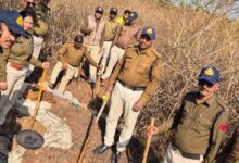 Screenshot 2025 01 23 18 22 56 451 com.whatsapp