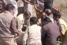 जंगलों का सरेआम सफाया कर रहे तस्कर : लाखों की सागौन जब्त : वन विभाग की बड़ी कार्रवाई 11 Screenshot 2025 01 29 19 13 48 097 com.miui .gallery