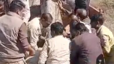 जंगलों का सरेआम सफाया कर रहे तस्कर : लाखों की सागौन जब्त : वन विभाग की बड़ी कार्रवाई 12 Screenshot 2025 01 29 19 13 48 097 com.miui .gallery