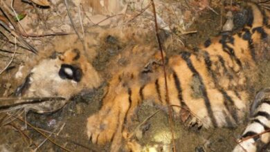 Screenshot 2025 01 31 11 27 40 496 com.whatsapp