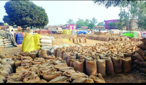 कहीं बारदाना खत्म तो कहीं धान रखने तक जगह नहीं, 31 हजार 386 किसानों ने केन्द्रों में बेची 2 लाख 72 मीट्रिक टन धान 2 Screenshot 20250104 175509 WhatsApp2