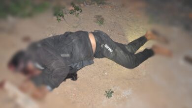 WhatsApp Image 2025 01 23 at 12.30.12 PM