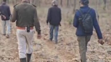 Screenshot 2025 02 02 16 56 41 156 com.whatsapp