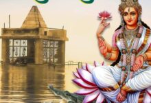 Screenshot 2025 02 04 12 14 12 595 com.whatsapp