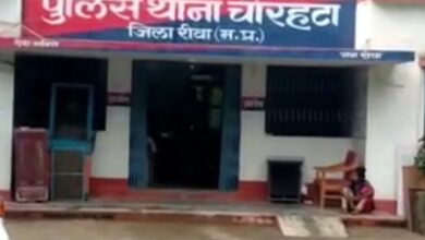 Screenshot 2025 02 06 20 11 03 994 com.miui .gallery