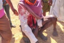 BREAKING : बाघ ने किया दो वृद्धों पर हमला, बुरी तरह घायल : कान्हा की एम्बुलेंस से जिला अस्पताल बालाघाट भेजा, स्थिति खतरे से बाहर 11 Screenshot 2025 02 12 09 12 12 839 com.whatsapp