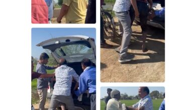 Screenshot 2025 02 16 16 26 58 369 com.miui .gallery