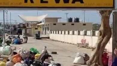 Screenshot 2025 02 16 17 45 41 501 com.miui .gallery