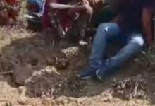 Screenshot 2025 02 17 17 42 24 901 com.miui .gallery