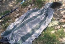 Screenshot 2025 02 24 14 05 43 208 com.whatsapp