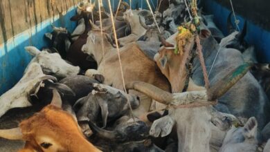 Screenshot 2025 02 27 16 45 13 114 com.whatsapp