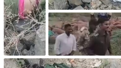 Screenshot 2025 02 27 19 56 47 595 com.miui .gallery